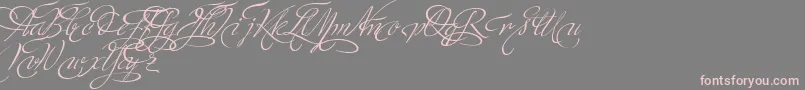 MinistryScriptSwashHff Font – Pink Fonts on Gray Background