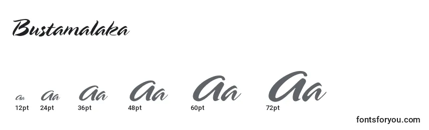 Размеры шрифта Bustamalaka
