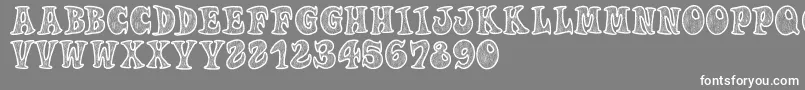 Woodys Font – White Fonts on Gray Background