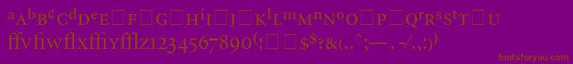 AtlantixProDisplaySsiDisplayRegular Font – Brown Fonts on Purple Background