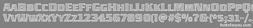 フォントAbatonitcTt – 灰色の背景に白い文字