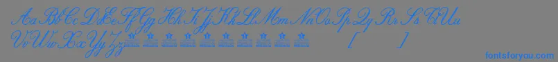 AlouettePersonalUse Font – Blue Fonts on Gray Background