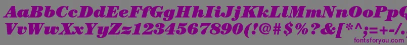 CenturystdUltraitalic Font – Purple Fonts on Gray Background