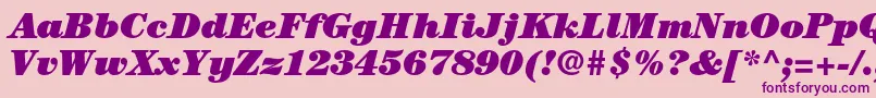 CenturystdUltraitalic Font – Purple Fonts on Pink Background