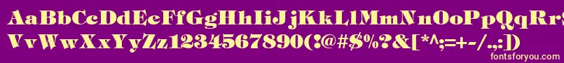 Tiffh Font – Yellow Fonts on Purple Background
