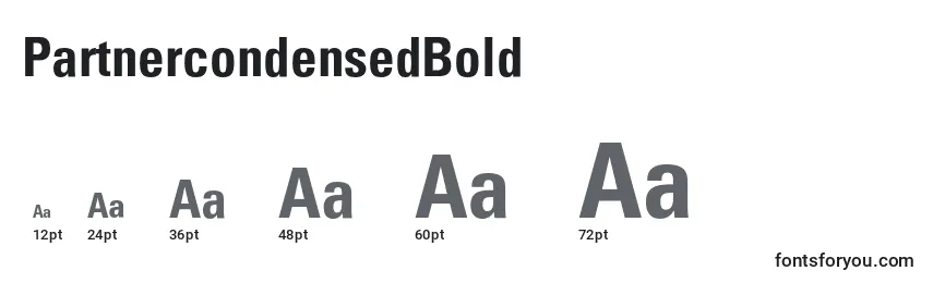 PartnercondensedBold Font Sizes