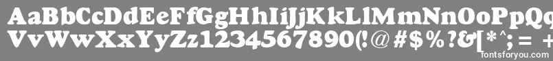 GoudyheavyfaceRegularDb Font – White Fonts on Gray Background