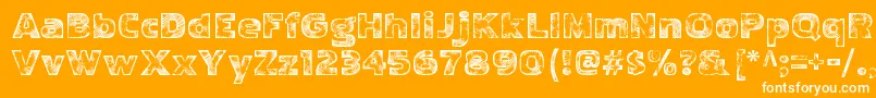 PakenhamwoodRegular Font – White Fonts on Orange Background