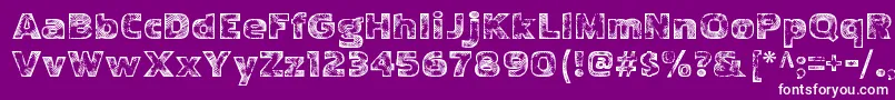 PakenhamwoodRegular Font – White Fonts on Purple Background