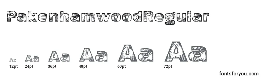 Размеры шрифта PakenhamwoodRegular