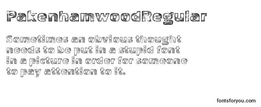 Обзор шрифта PakenhamwoodRegular