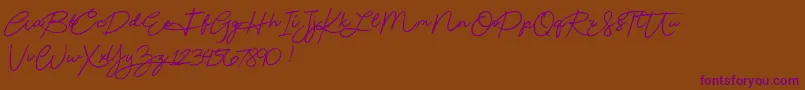 Beautydemo Font – Purple Fonts on Brown Background