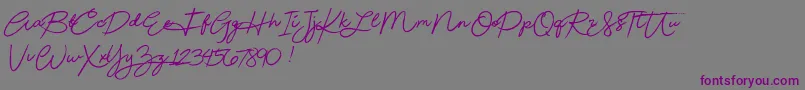 フォントBeautydemo – 紫色のフォント、灰色の背景