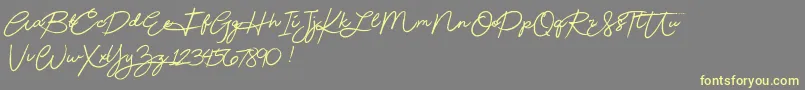 Beautydemo-Schriftart – Gelbe Schriften auf grauem Hintergrund
