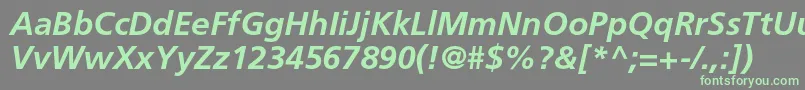 FrutigerltstdBolditalic Font – Green Fonts on Gray Background