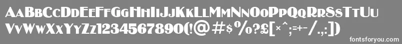 フォントBinnerDi – 灰色の背景に白い文字