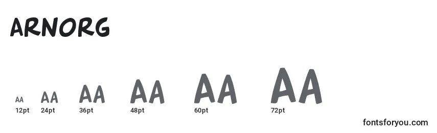 Arnorg Font Sizes
