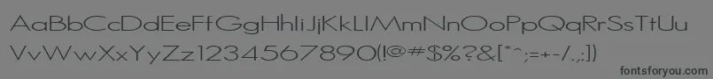 Sanlite Font – Black Fonts on Gray Background