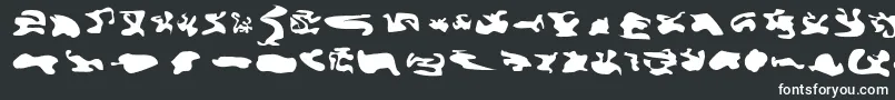 Шрифт Cisfcamouflagekit – белые шрифты