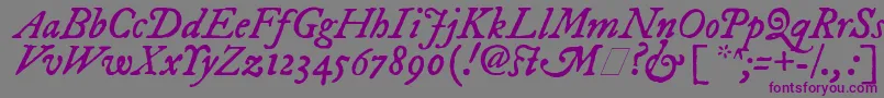 Czcionka ImFellDwPicaItalic – fioletowe czcionki na szarym tle