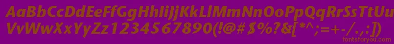 ItcStoneSansLtBoldItalic Font – Brown Fonts on Purple Background