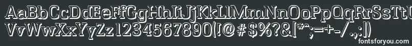 Шрифт EnschedeshadowRegular – белые шрифты на чёрном фоне