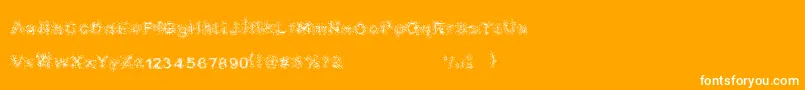 BioSeptic Font – White Fonts on Orange Background