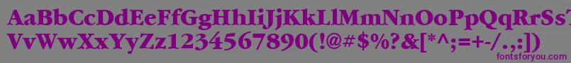 フォントGarrymondrian7Extraboldsh – 紫色のフォント、灰色の背景