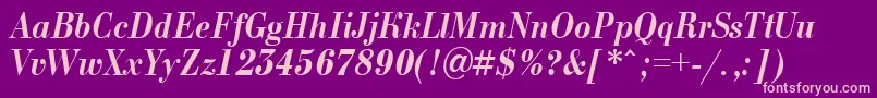 ABodoninovanrBolditalic Font – Pink Fonts on Purple Background