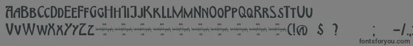 DkHimmelblau Font – Black Fonts on Gray Background
