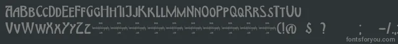 DkHimmelblau Font – Gray Fonts on Black Background