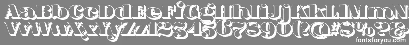 More about FatFlamingo5Side Font FatFlamingo5Side Font – White Fonts on Gray Background