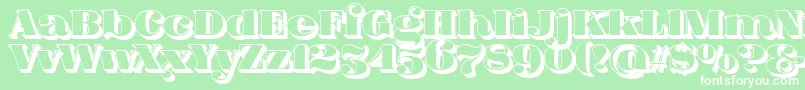 FatFlamingo5Side Font – White Fonts on Green Background