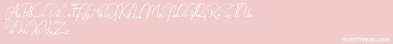 Jacklyne Font – White Fonts on Pink Background