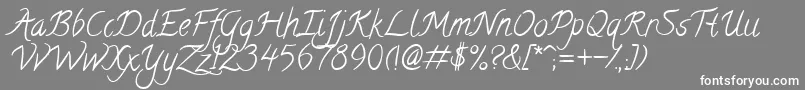 More about CalligraffittiRegular Font CalligraffittiRegular Font – White Fonts on Gray Background