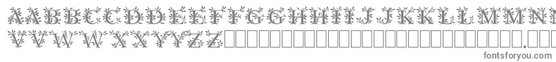 フォントGayane – 白い背景に灰色の文字