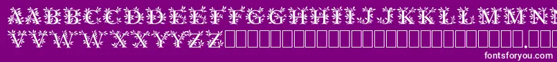 Gayane Font – White Fonts on Purple Background