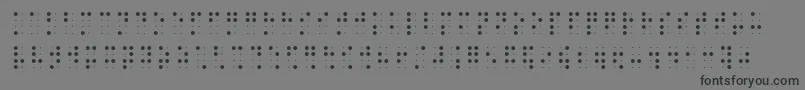 Brailleslo8dot Font – Black Fonts on Gray Background