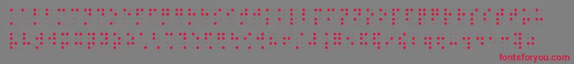 Brailleslo8dot Font – Red Fonts on Gray Background