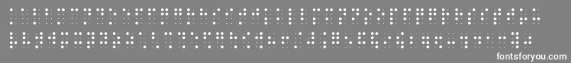Brailleslo8dot Font – White Fonts on Gray Background