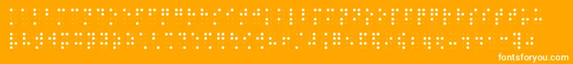 Brailleslo8dot Font – White Fonts on Orange Background