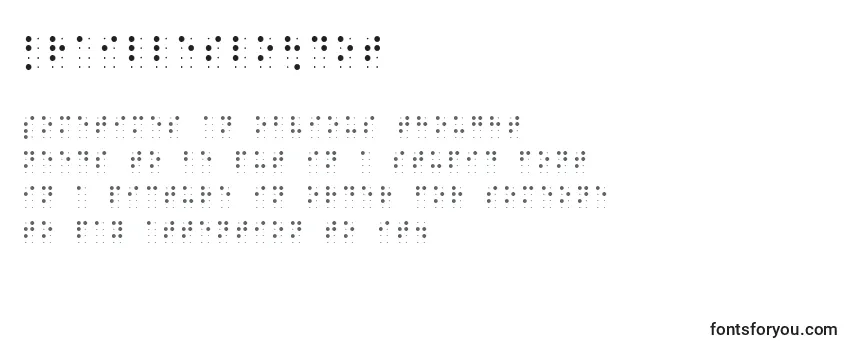 Review of the Brailleslo8dot Font
