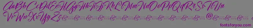 HallelujahDemo Font – Purple Fonts on Gray Background