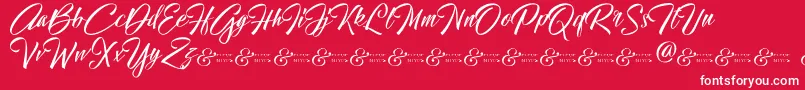 HallelujahDemo Font – White Fonts on Red Background