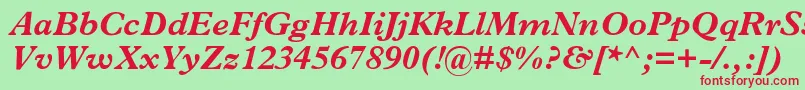 MplantinBolditalic Font – Red Fonts on Green Background