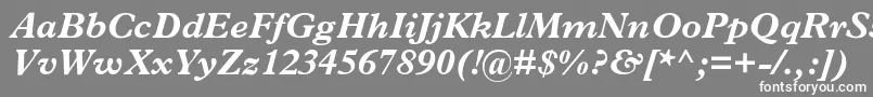 フォントMplantinBolditalic – 灰色の背景に白い文字