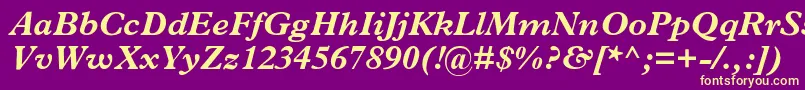 MplantinBolditalic Font – Yellow Fonts on Purple Background