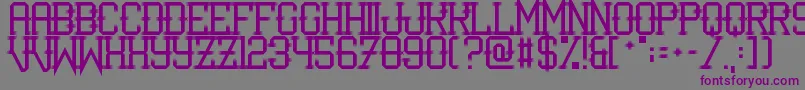 IShotTheSerif Font – Purple Fonts on Gray Background