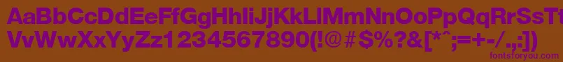 OlnovaExtrabold Font – Purple Fonts on Brown Background