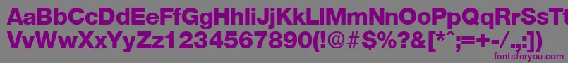 Шрифт OlnovaExtrabold – фиолетовые шрифты на сером фоне